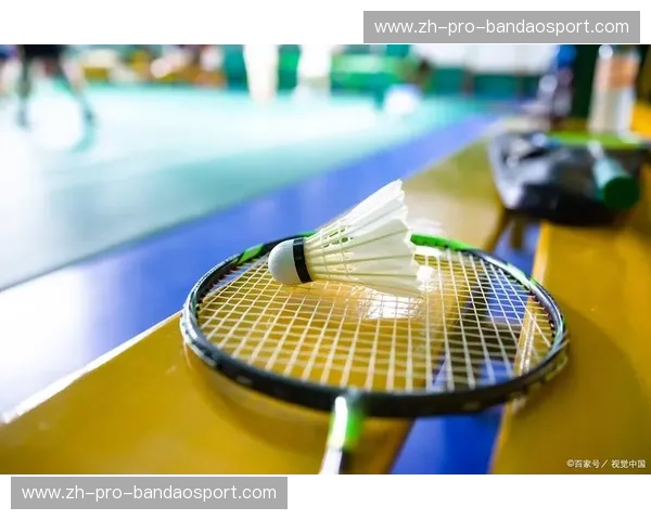 羽毛球数据：用数据点亮你的每一次击球